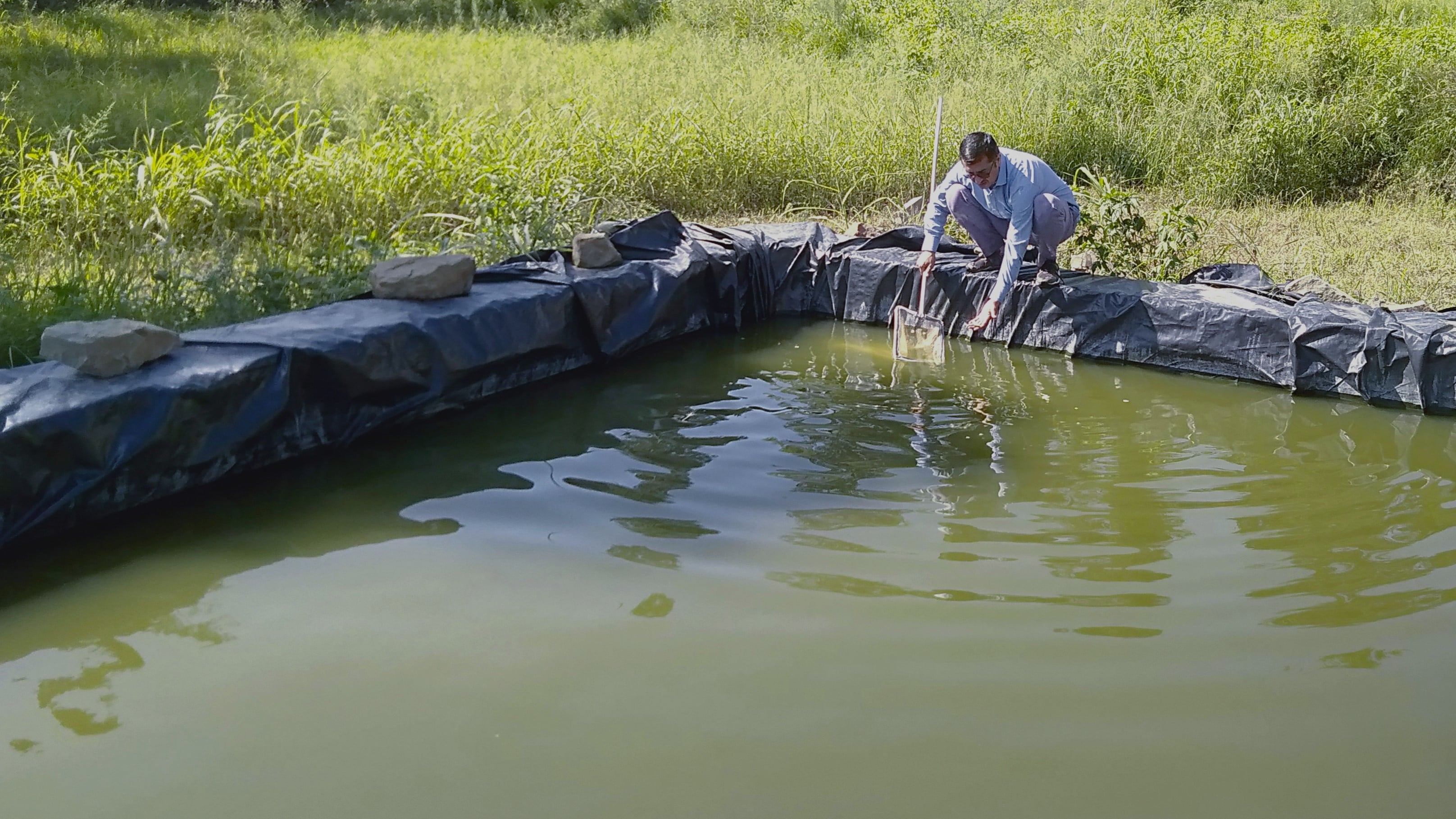 Course image for Fisheries
