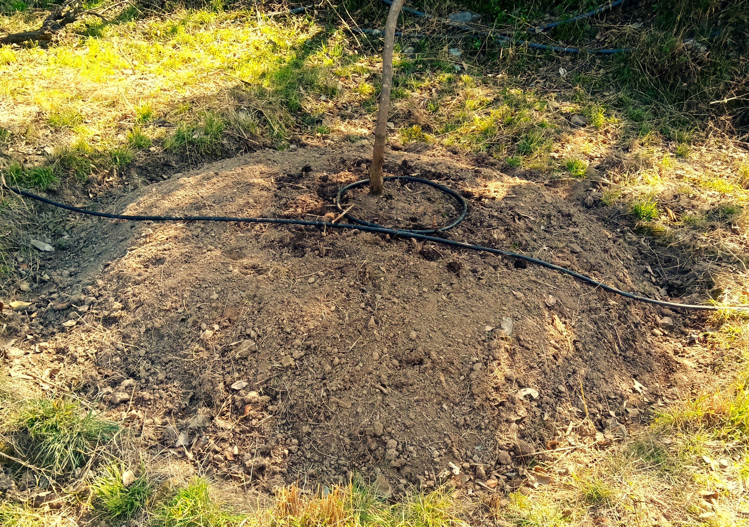 Course image for Soil and Irrigation management