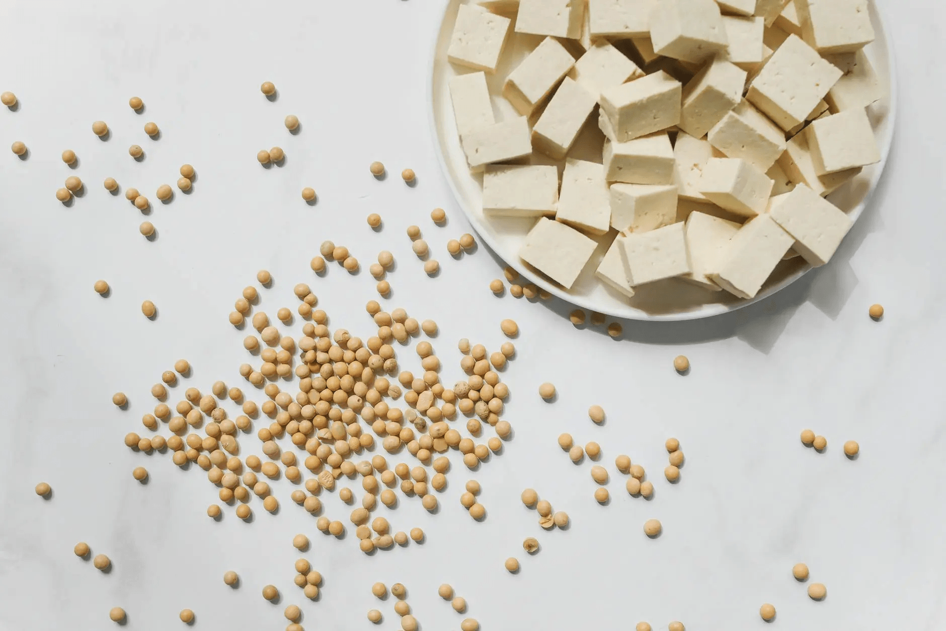 Course image for Soy Milk and Paneer(Tofu) Processing